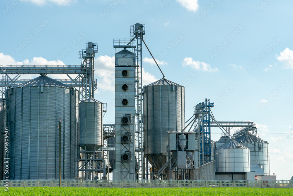 Obraz premium silver silos on agro manufacturing plant for processing drying cleaning and storage of agricultural products, flour, cereals and grain. Large iron barrels of grain. Granary elevator