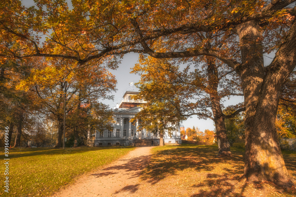 Park and Manor Rozhdestveno near the city of Gatchina and the Leningrad region during golden autumn