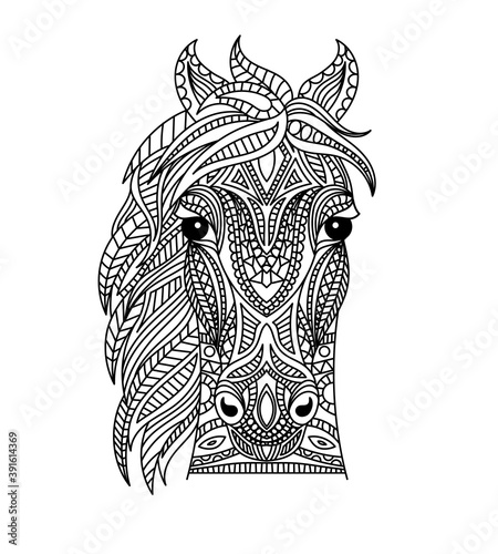 Horse head coloring book illustration. Antistress coloring for adults. black and white lines. Print for t-shirts and coloring books.