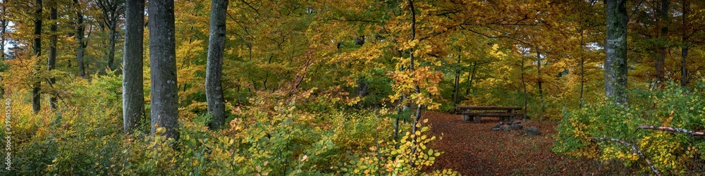 Colors of fall IV, Pano 4:1 Colors of fall IV, Pano 4:1