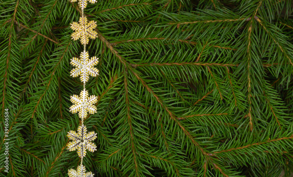 Christmas tree branches background with golden snowflakes border and copy space. Close-up of fir branches.