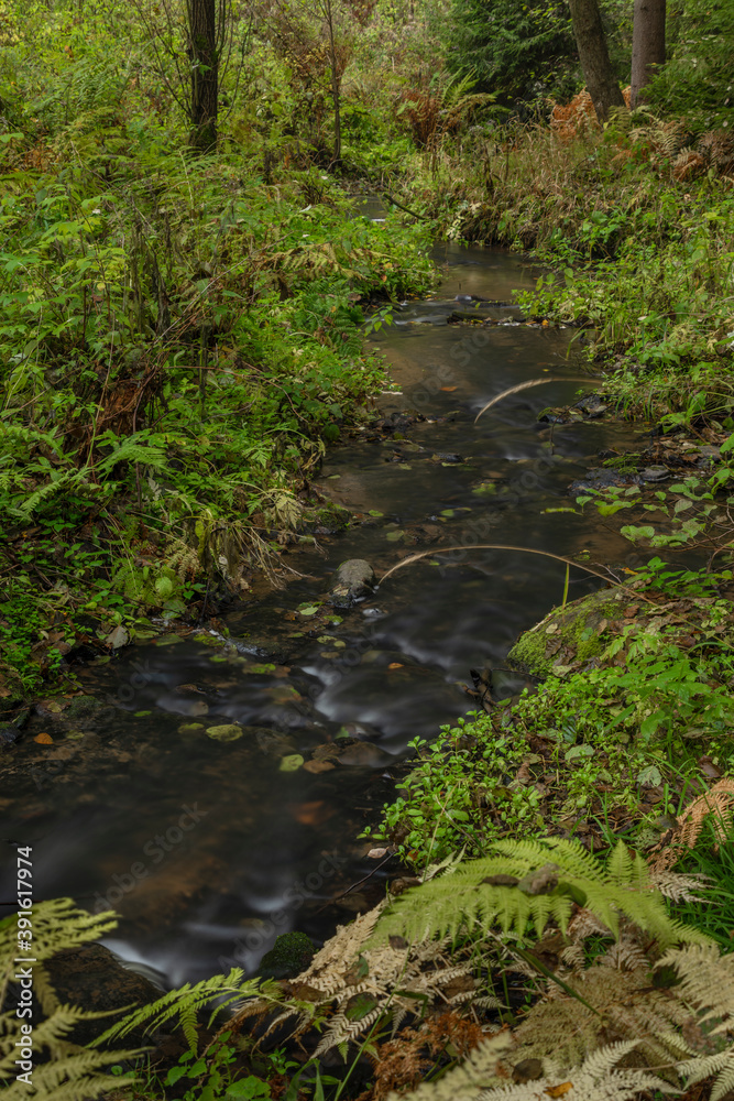 Utersky creek in dark color morning near Utery town in west Bohemia