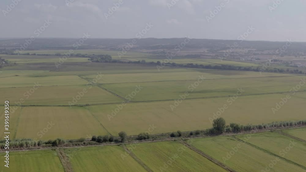 Huge rice field near the mountains. Aerial shot Huge rice field near the mountains. Aerial shot