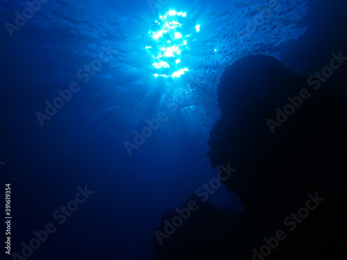 Big blue, Red Sea near Marsa Alam, Egypt, underwater photograph