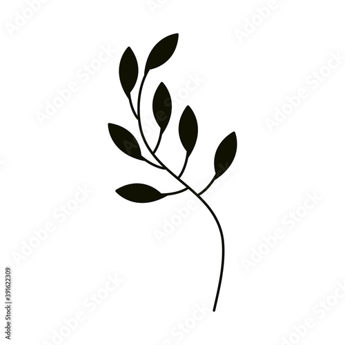 leaves silhouette icon style, branch foliage botany