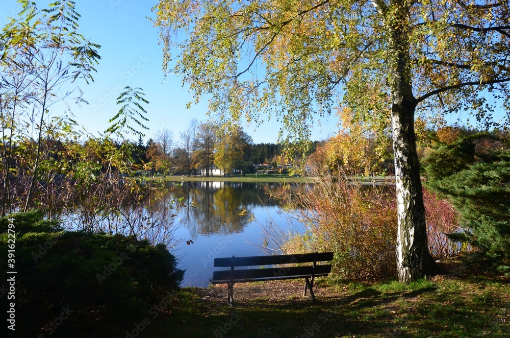 Rastplatz am Teich unter einer Birke im Herbst Rastplatz am Teich unter einer Birke im Herbst
