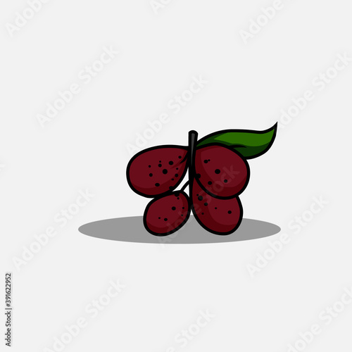 Vector illustration of champaca fruit. Fruit vector illustration.