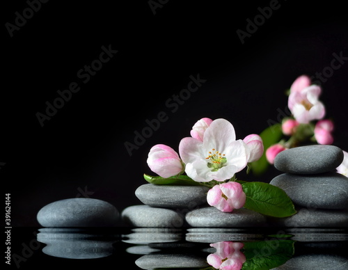 Spa stones and pink flowers on black background with water.