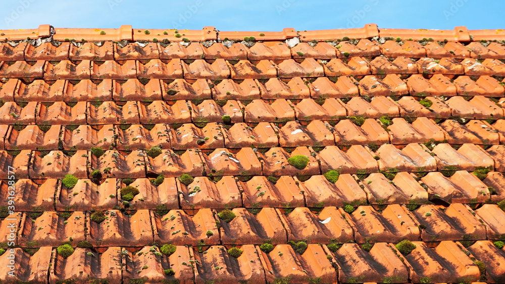 Altes Ziegel Dach mit Moos