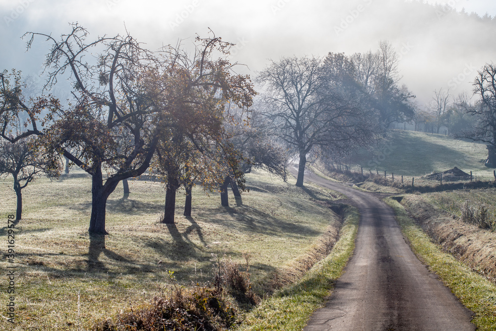 Novembermorgen zwischen Heiningen und Eschenbach Novembermorgen zwischen Heiningen und Eschenbach