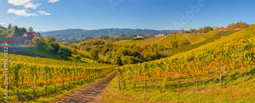 Vineyards along South Styrian Wine Road, a charming region on the border between Austria and Slovenia with green rolling hills, vineyards, picturesque villages and wine taverns. Selective focus