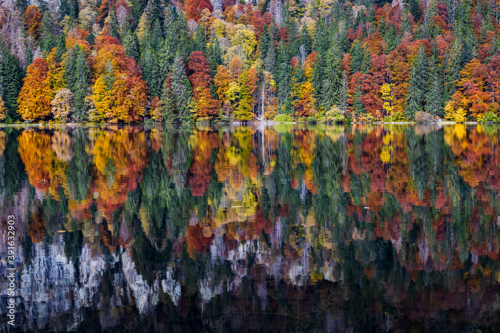 Naklejka premium Autumnal water refections in a lake