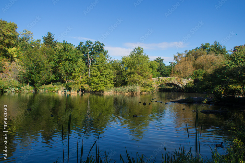 Gapstow Bridge