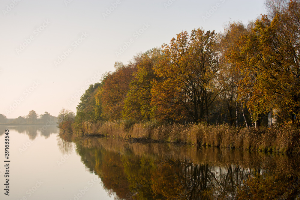 Odbicie w wodzie jesiennych drzew