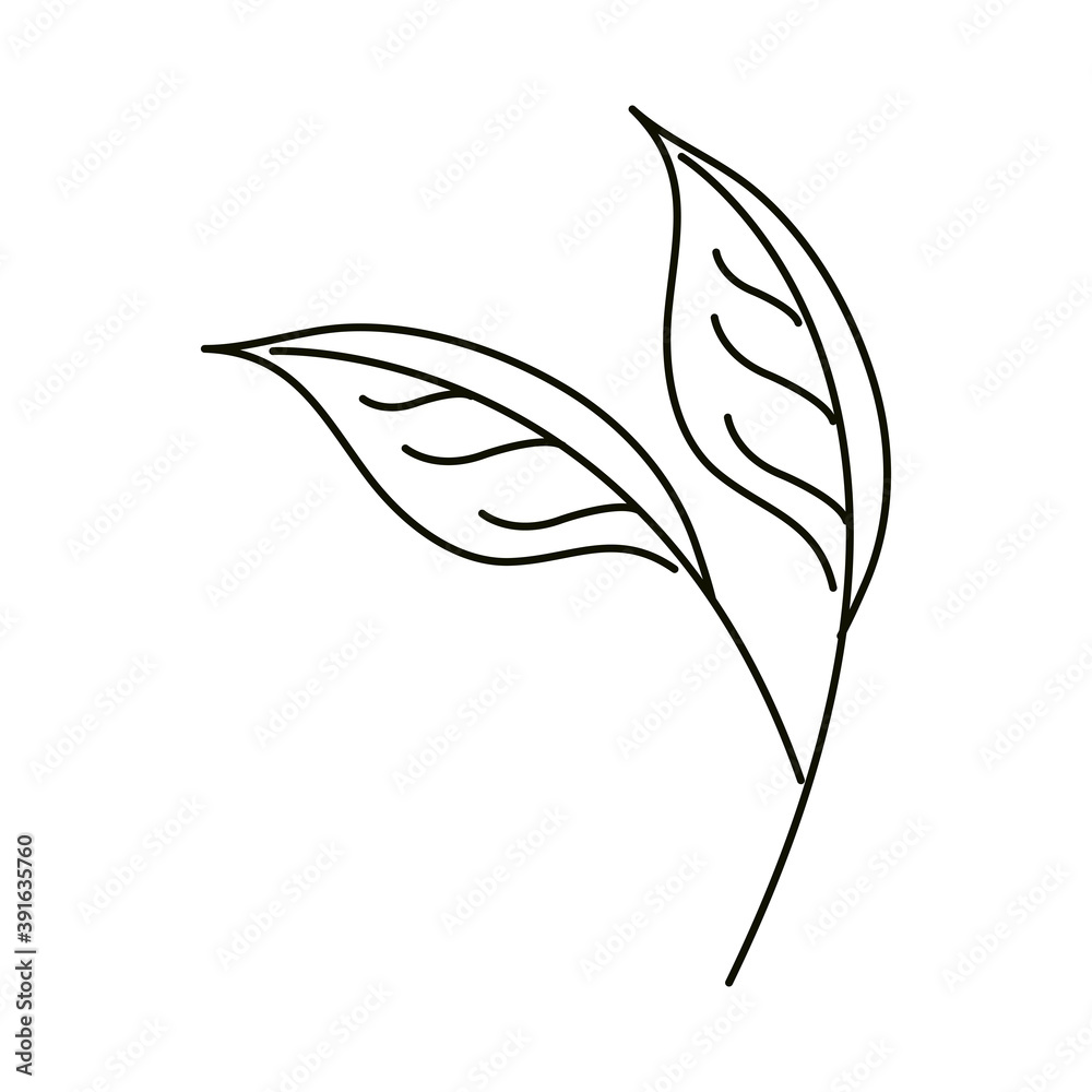 leaves line icon style, foliage nature ecology