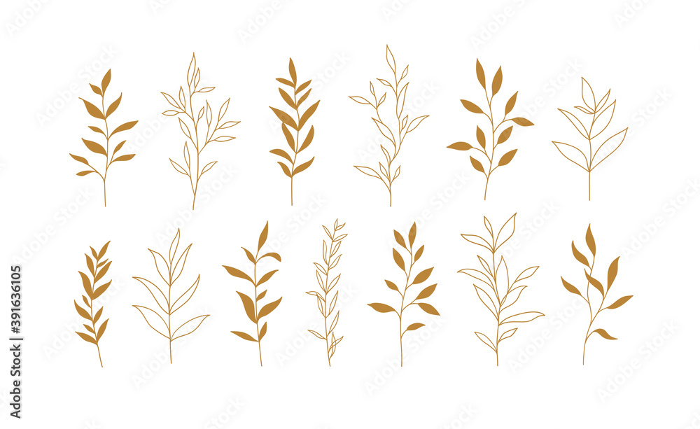 Set of vector plants and herbs. Hand drawn floral elements. Set of vector plants and herbs. Hand drawn floral elements.