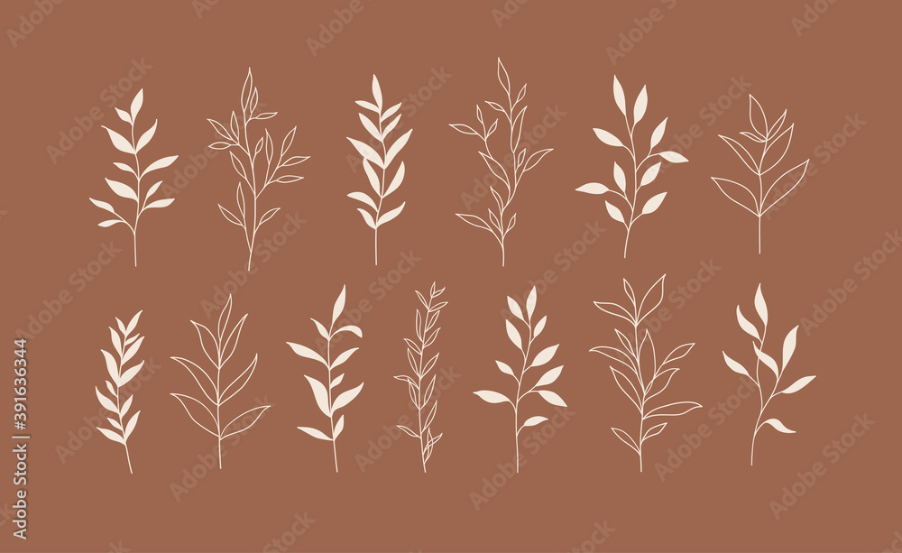 Φωτογραφία Set of vector plants and herbs. Hand drawn floral elements.