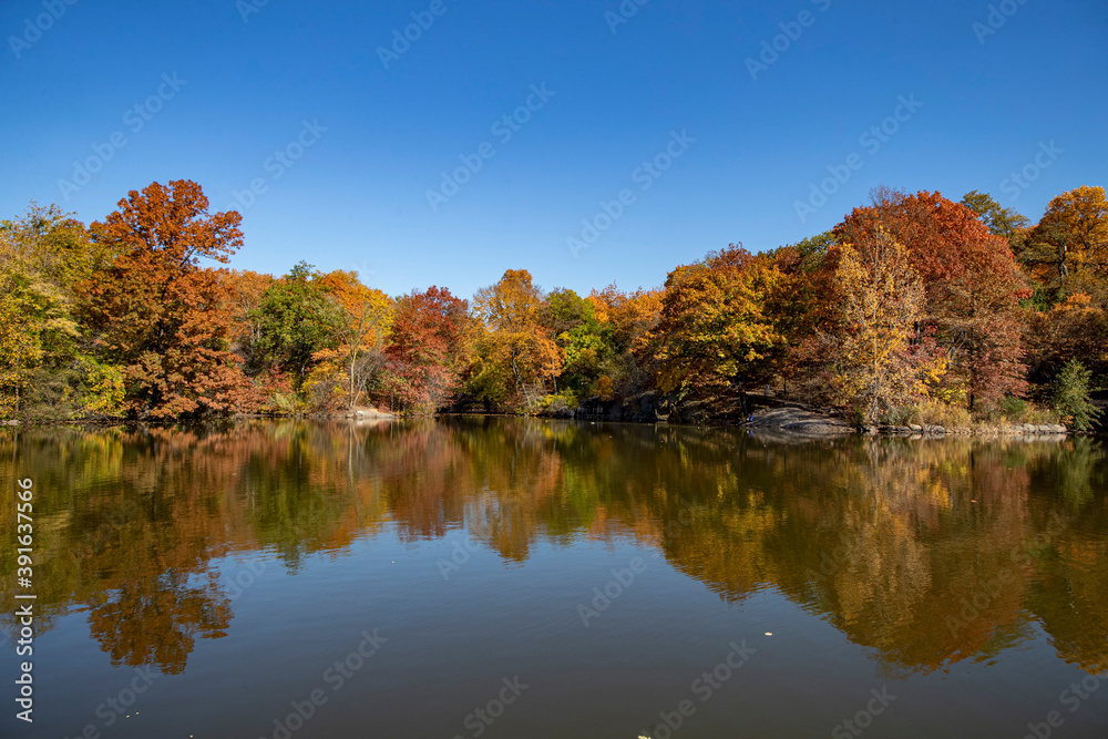 Trees around Bank Rock Bay and Oak Bridge reflect off the Lake from in Central Park, New York City. Trees around Bank Rock Bay and Oak Bridge reflect off the Lake from in Central Park, New York City.