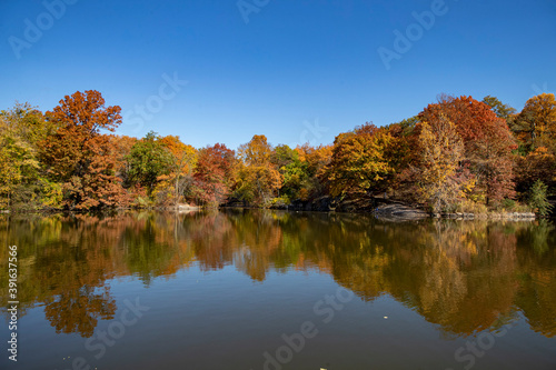 Trees around Bank Rock Bay and Oak Bridge reflect off the Lake from in Central Park, New York City.