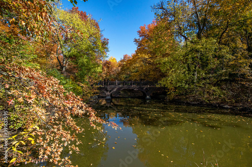 Trees around Bank Rock Bay and Oak Bridge reflect off the Lake from in Central Park  New York City.
