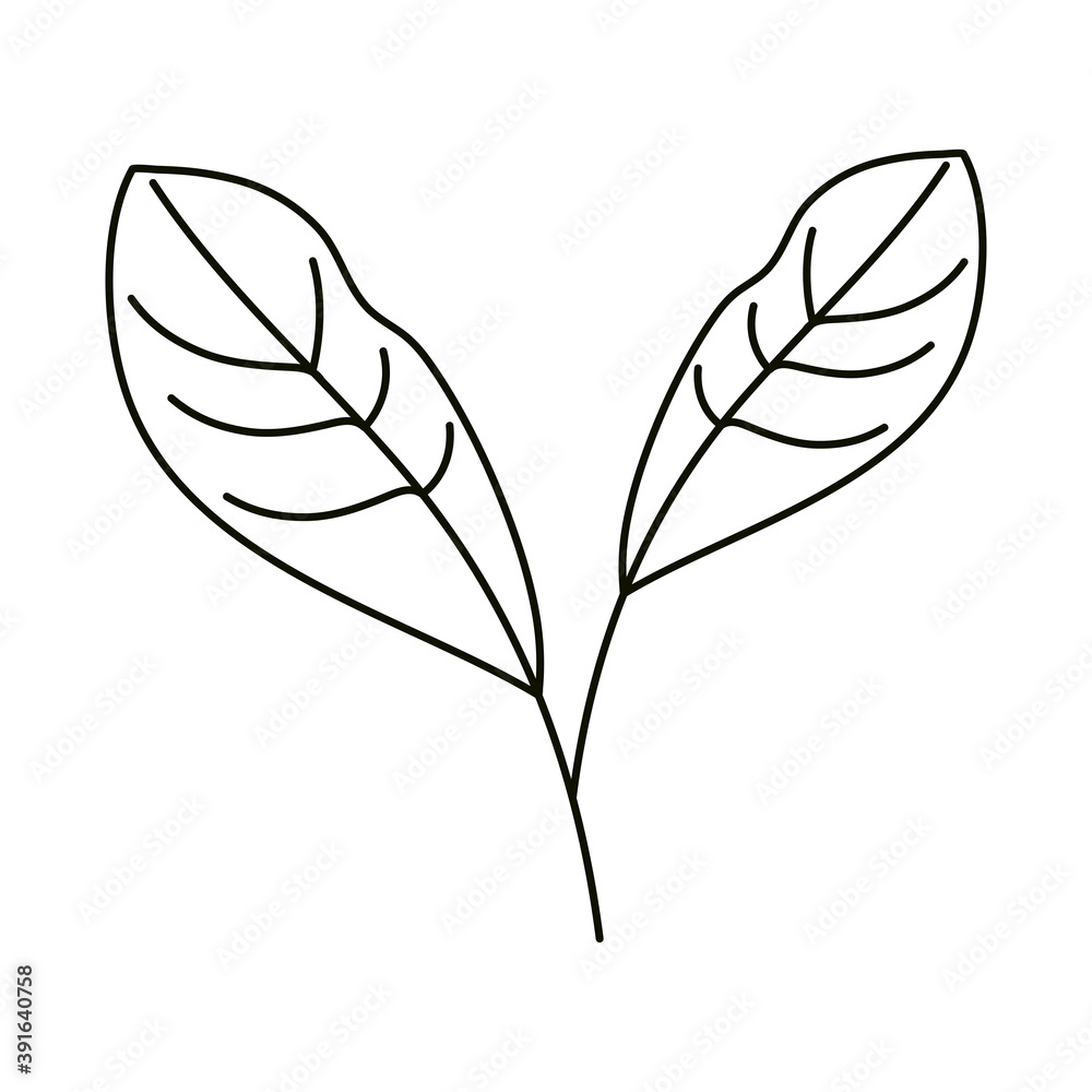 leaves line icon style, natural leaves herbs leaves line icon style, natural leaves herbs