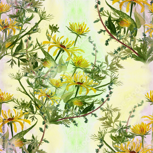 Seamless patterns. Abstract decorative composition. Eco-print. Silhouettes of wild herbs on a watercolor background. Use printed materials, signs, items, posters, postcards, packaging.