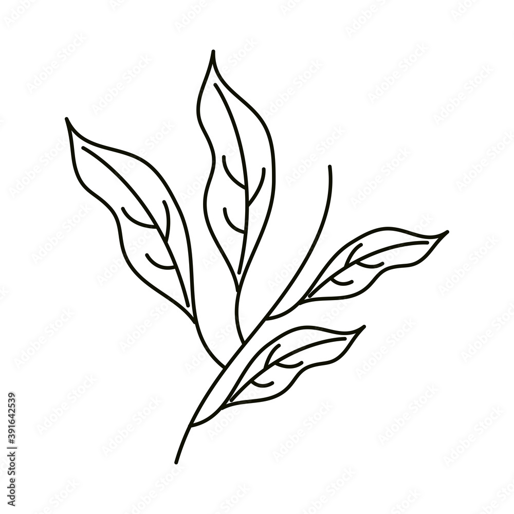 leaves line icon style, leaves stem floral leaves line icon style, leaves stem floral