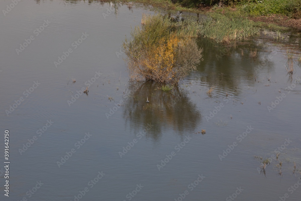 Top view of the River Douro, with grey heron in the water in Portugal Top view of the River Douro, with grey heron in the water in Portugal