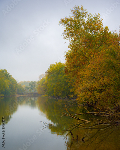 river with trees autumn