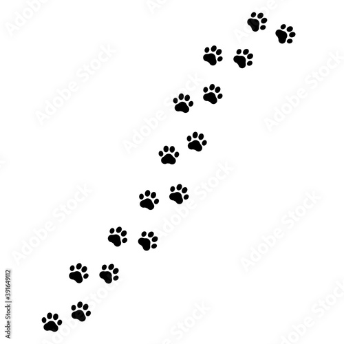 Fototapeta Naklejka Na Ścianę i Meble -  Footprints for pets, dog or cat. Pet prints. Paw pattern. Foot puppy. Black silhouette shape paw print. Footprint pet. Animal track. Trace dogs, cats. Cute background turn right. Design walks. Vector
