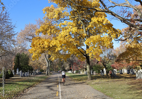 Photography A park-like cemetery is used as a cycling and walking trail on a warm autumn day