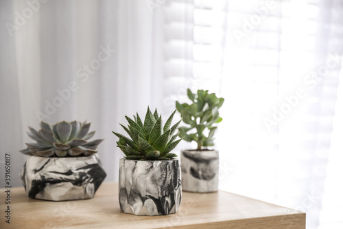Beautiful succulents on wooden table indoors. Interior decoration