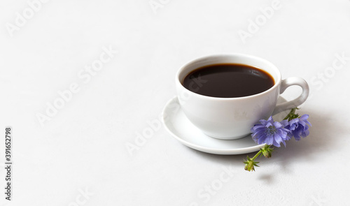 Chicory coffee drink and blue chicory flower on white background. Decaffeinated coffee. Copy space.