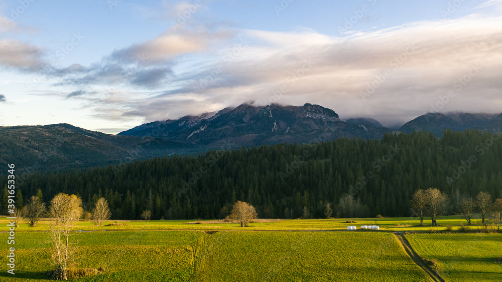Big blue misty mountain with green and yellow foreground farm fields