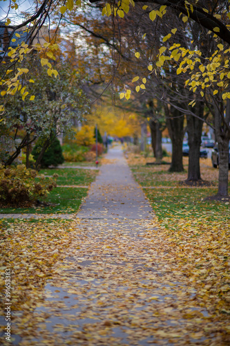 Obraz na płótnie Fall Colors w salonie