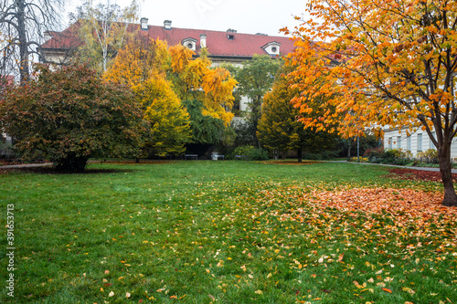 Autumn morning on the Prague island of Kampa