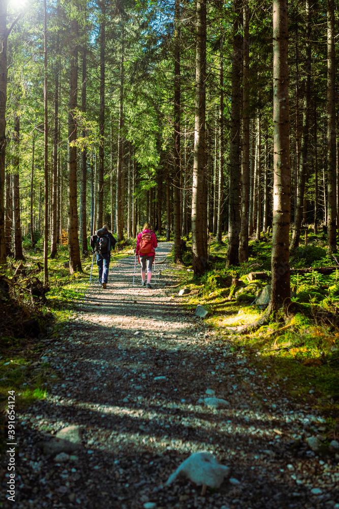 Hiking in beautifull senery by two hikers with walking sticks in the polish mountains