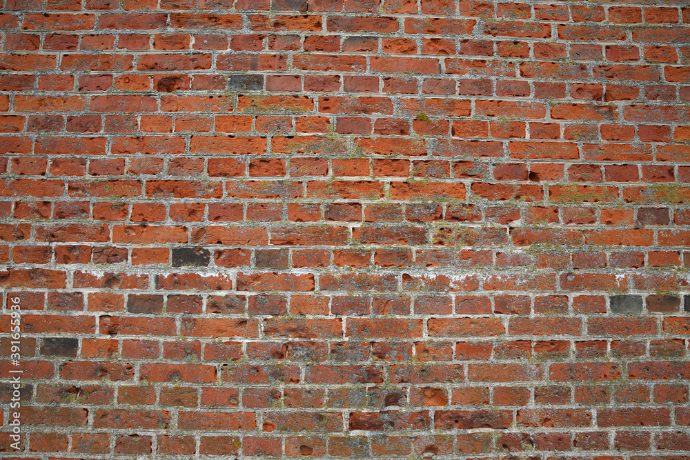 Fototapeta premium The old brick wall 