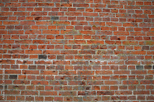 The old brick wall 