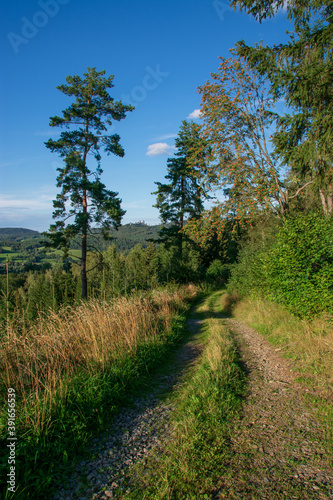 Road at Kasperske Mountains, Sumava national park, Czechia  photo