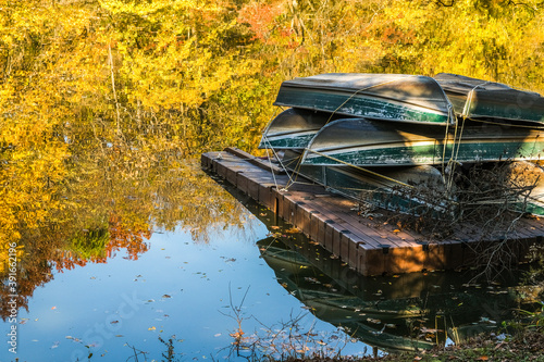 Reflection of the fall