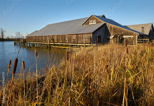 Britannia Shipyards National Historic Site Steveston. The Historic Brittania Heritage shipyard on the banks of the Fraser River in Steveston, British Columbia, Canada.

 photo