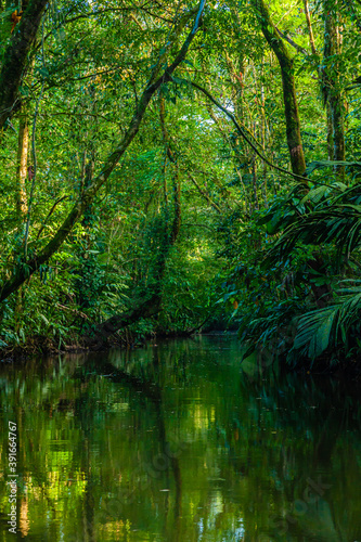 Costa Rica, flora and fauna at its best: a breathtaking trip through a mangrove forest