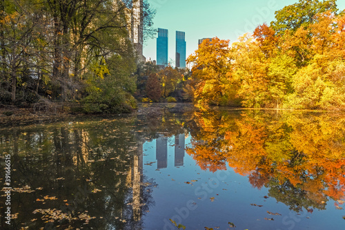 Fall in Central park 