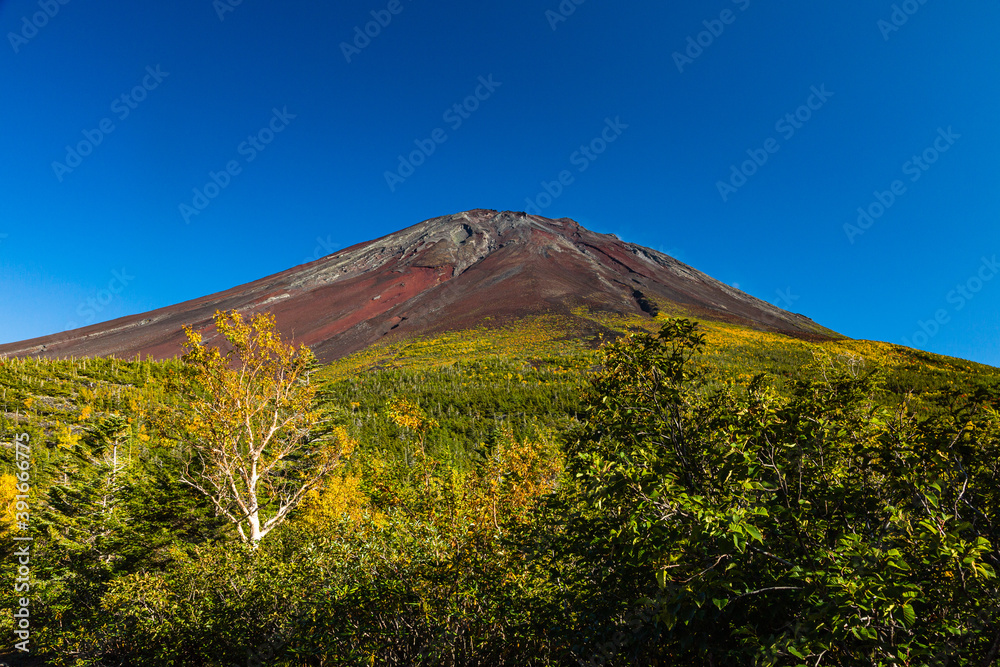 日本　山梨県、奥庭展望地からの富士山