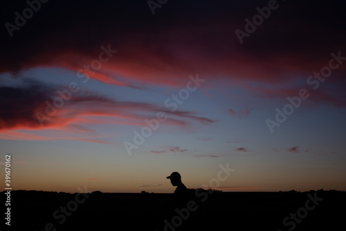 silhouette sunset © Tim