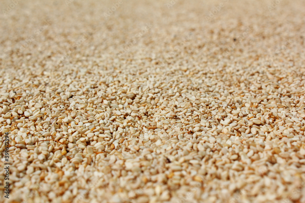 Heap of organic natural sesame seeds Heap of organic natural sesame seeds