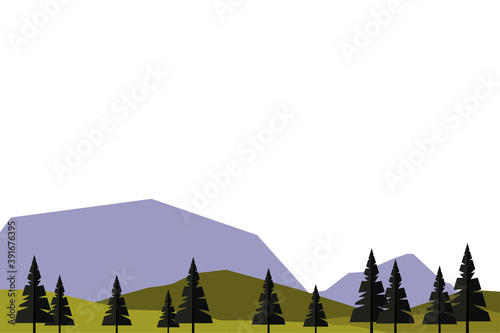beautiful landcape scene with coniferus forest field