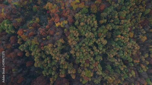 Stunning drone footage of Japanese serene forest in autumn, aerial shot of Zaoonsen, Japan photo