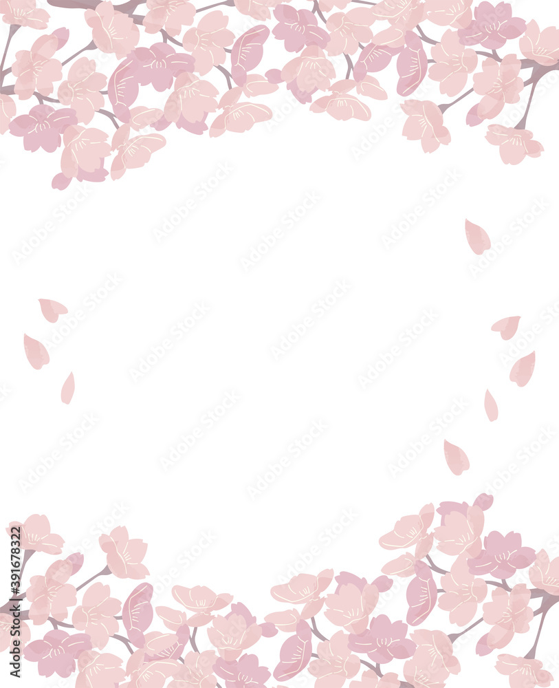 桜 フレーム 上下 満開 シンプル イラスト 桜 フレーム 上下 満開 シンプル イラスト